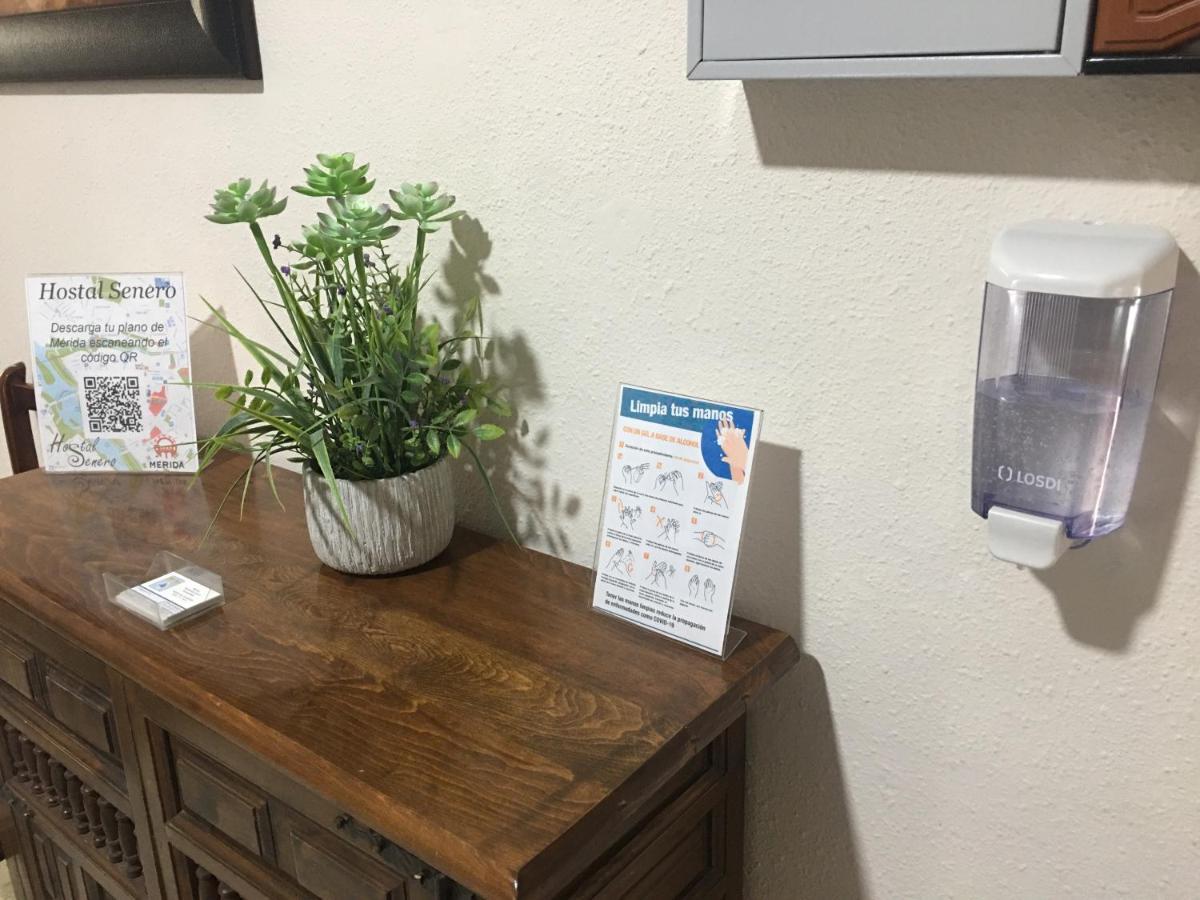 Hostal Senero Mérida Dış mekan fotoğraf