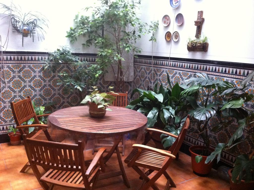 Hostal Senero Mérida Dış mekan fotoğraf